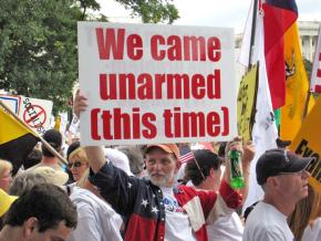 A Tea Party rally in Washington, D.C., last spring